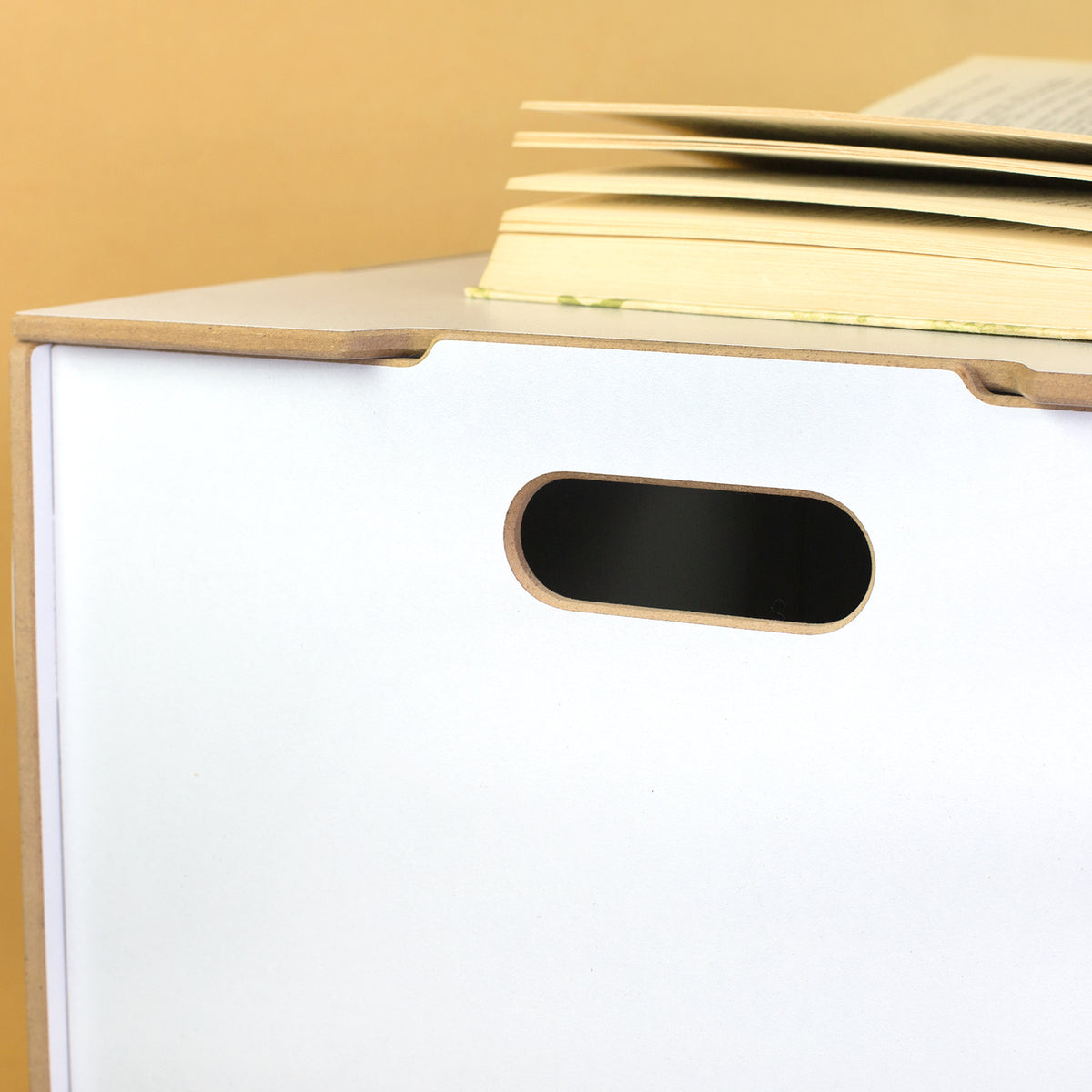 Personalisierte Rollbox aus Holz - Tierfreunde auf Safari - von clipfritz | Spielzeugkiste mit Name