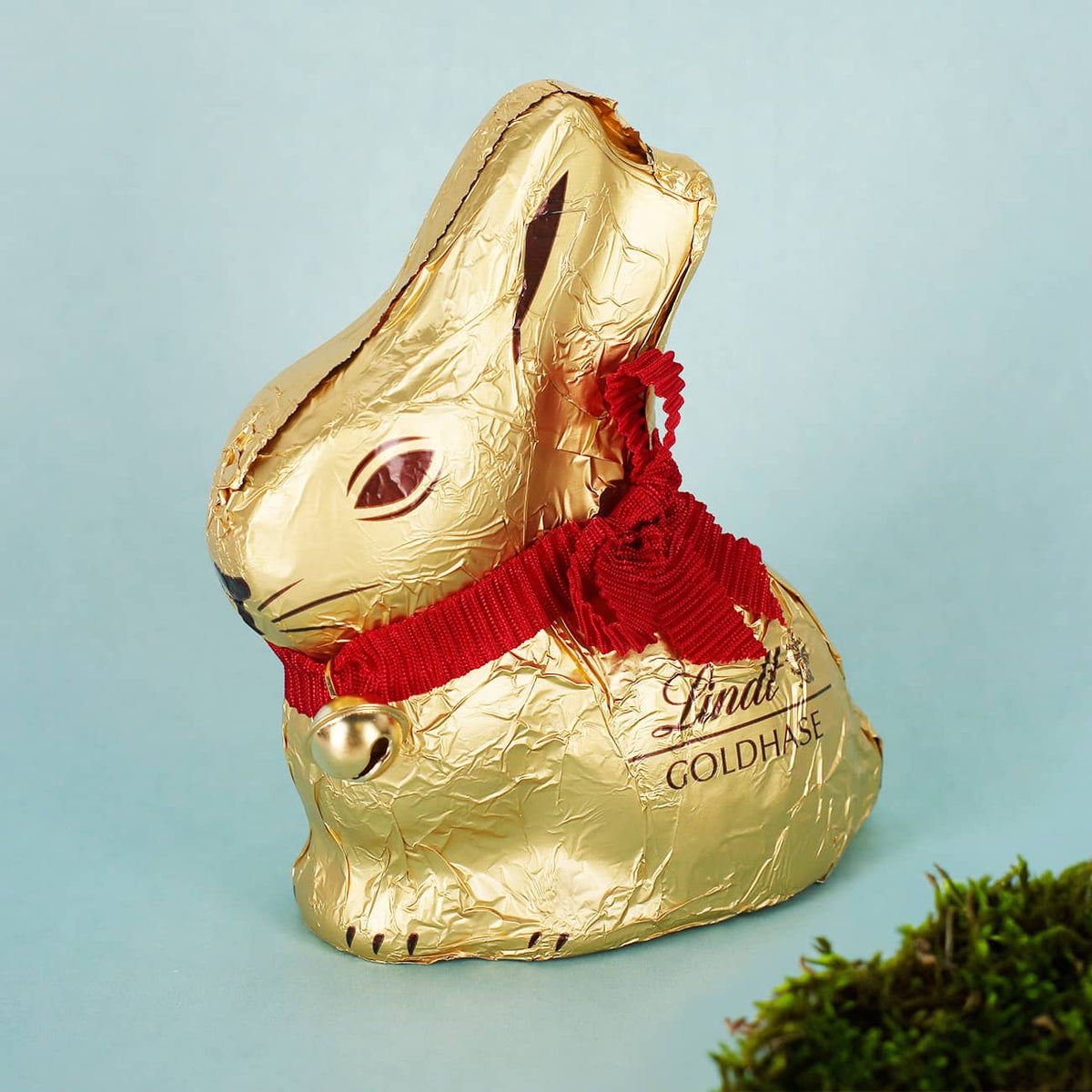 Goldhase