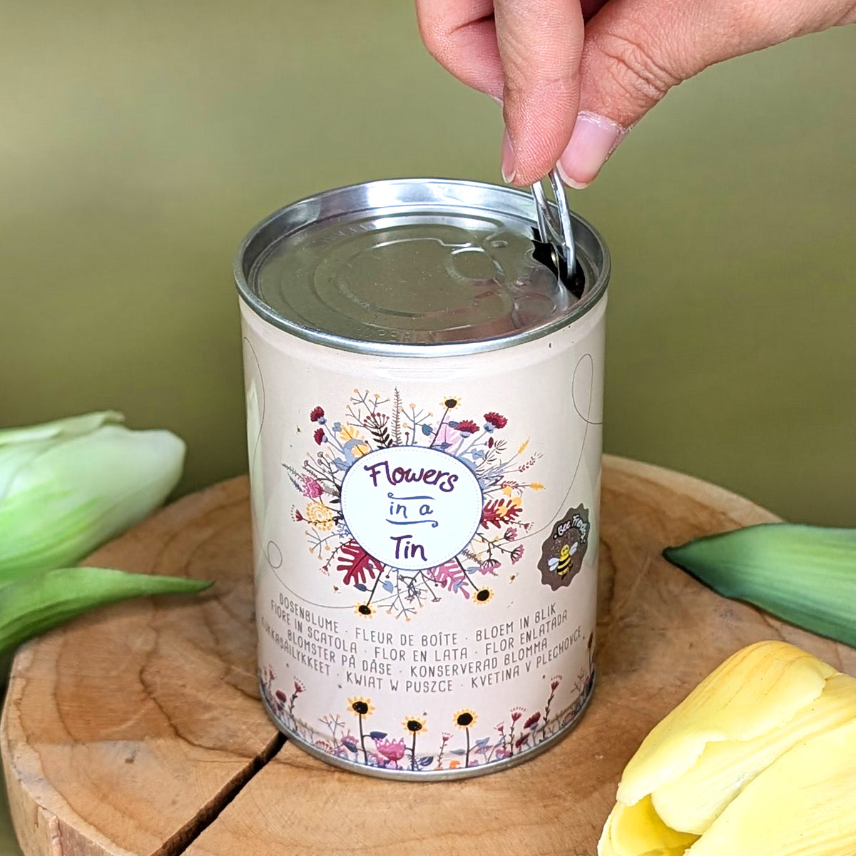 Hand zieht den Deckel der Dosenblume auf