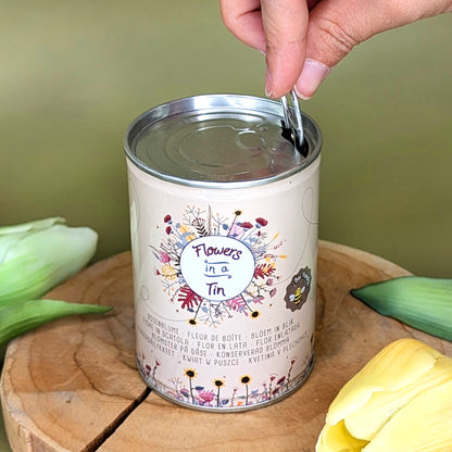 Hand zieht den Deckel der Dosenblume auf