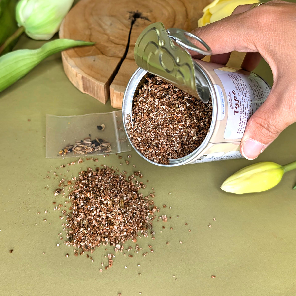 Hand leert Blumensamen aus der Dose auf den Untergrund