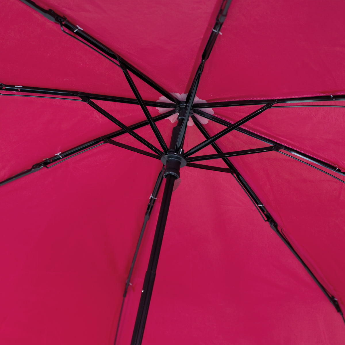 Taschen Regenschirm als Weinflasche Rosé