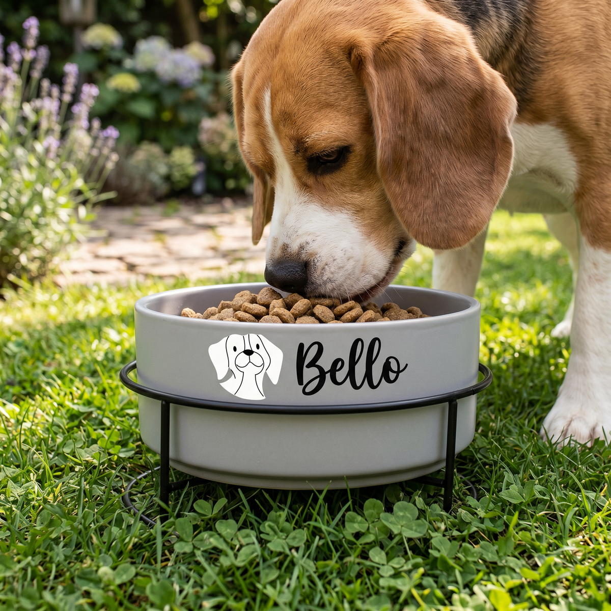 Hund frisst aus personalisiertem Hundenapf mit Name Bello