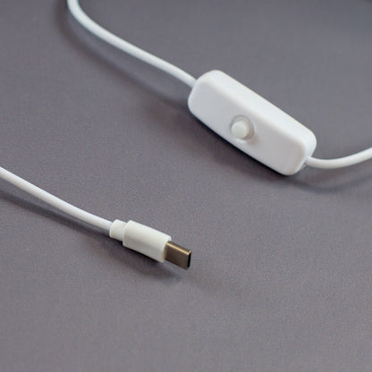 Nahaufnahme des USB-C-Kabel mit Schalter und Anschluss