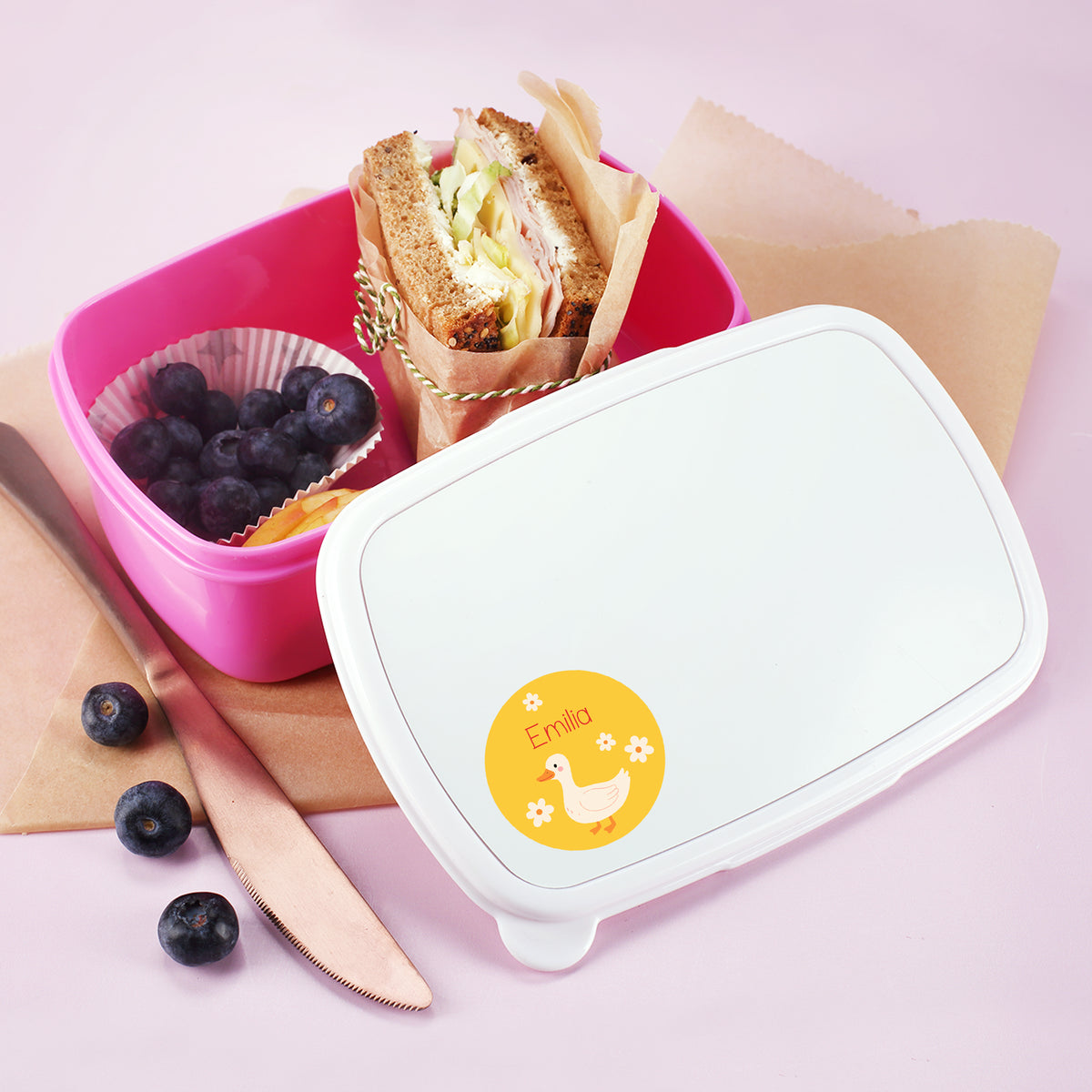 Brotdose mit rundem Ente Namensaufkleber und Name Emilia als Kindergarten Etikett