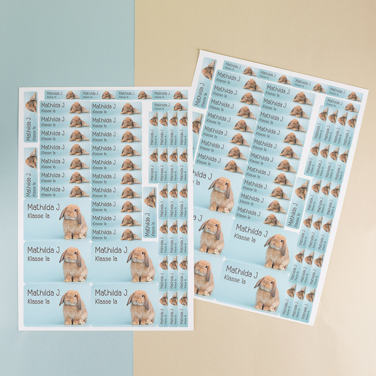 100-teiliges Namensaufkleber Set mit Kaninchen Motiv, Wunschtext Mathilda J. und Klasse 1a auf zwei Bögen