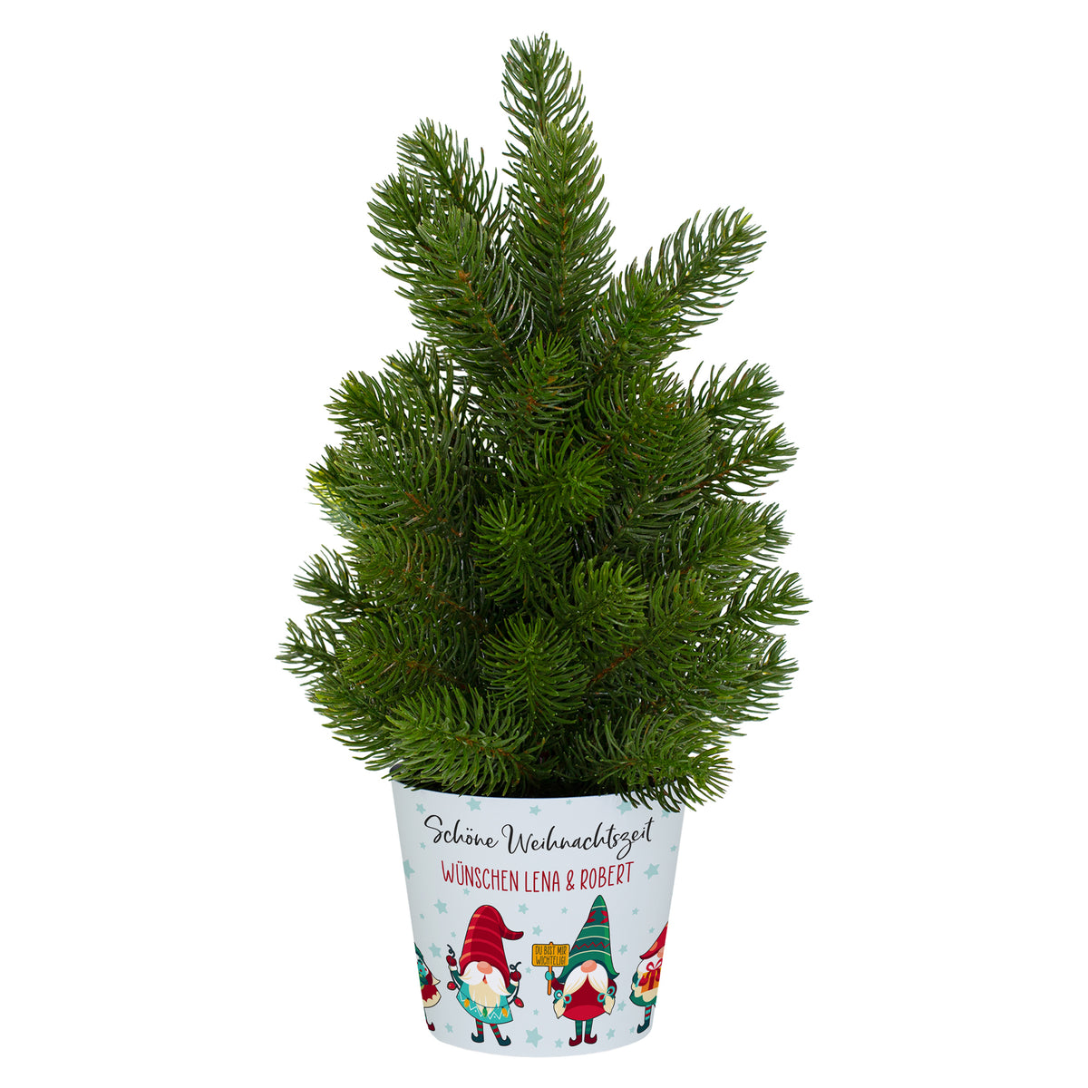 Mini-Weihnachtsbaum mit personalisierter Banderole auf weißem Hintergrund, ca. 38–40 cm hoch
