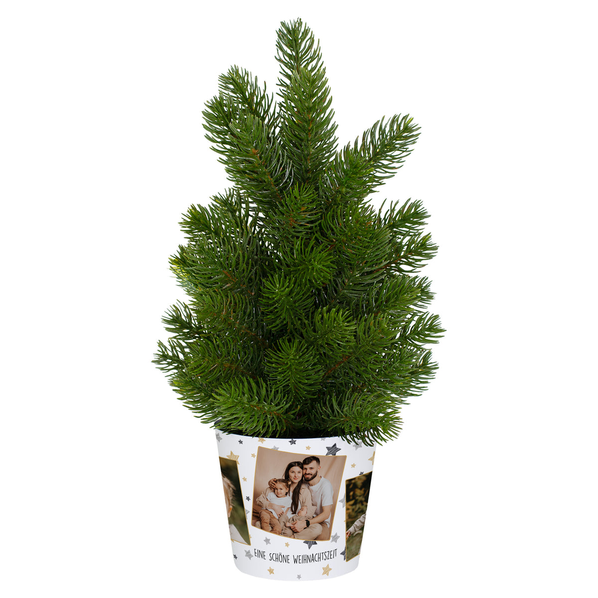 Mini-Weihnachtsbaum mit individueller Foto-Banderole – nachhaltige und persönliche Geschenkidee zu Weihnachten