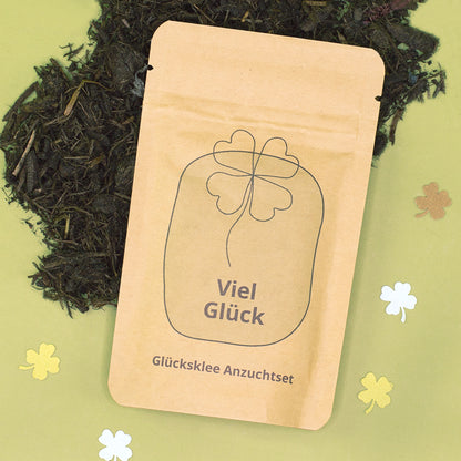 Glücksklee Anzuchtset als kleiner Glücksbringer auf grünem Hintergrund mit Kleeblatt-Deko