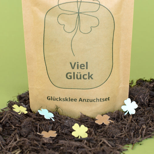 Nahaufnahme vom Viel Glück Anzuchtset mit Glücksklee-Motiv, Erde und Kleeblatt-Deko