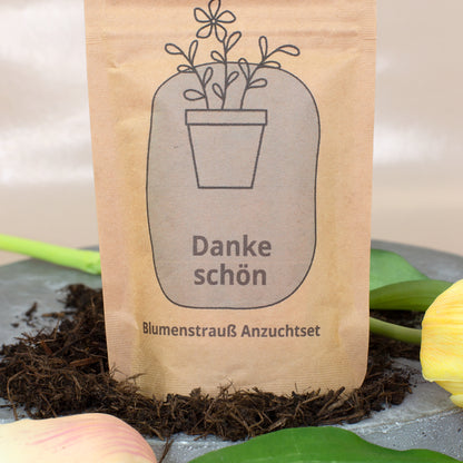 Nahaufnahme vom Danke schön Anzuchtset mit Blumensamen und Kokoserde vor gelber Tulpe