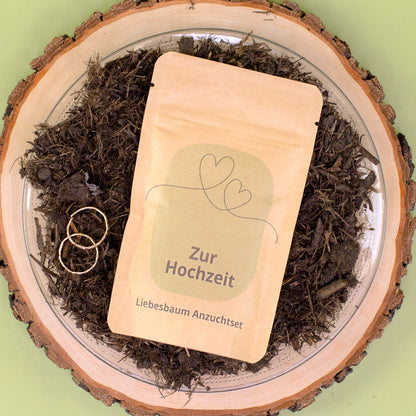 Hochzeit Anzuchtset von oben auf Holzscheibe mit Erde und zwei goldfarbenen Ringen
